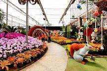 Flower Festival Opens in Khao Yai