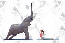 Do yoga with elephants! 
