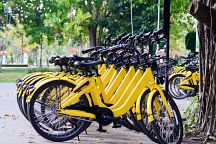 Ofo to Retreat from Thailand 