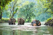 Thailand a Top Spot for Wildlife Tourism
