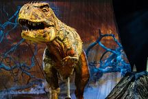 World's Best Dinosaur Show Returns to Bangkok