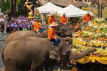 Thailand Readies to Celebrate National Elephant Day