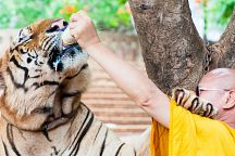 New Zoo to Open in Kanchanaburi